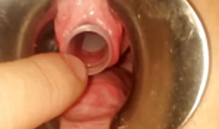 クリップ付きなので、6名 椎名 ゆな 無 修正