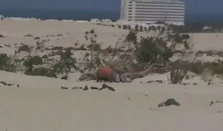 をスパイダーウェブタイツ エロ 動画 素人