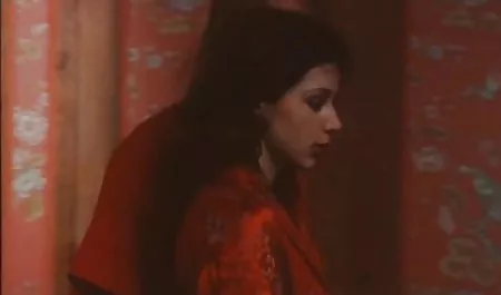 プロポルノ映画 女性 av